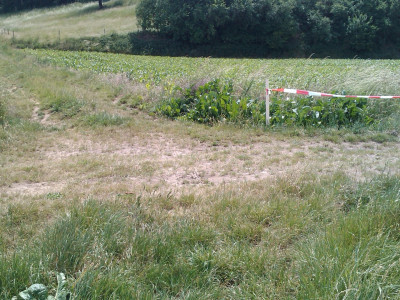 20110604093005_IMAG0090.400x300-crop.jpg 20110604093005_IMAG0090.400x300-crop.jpg